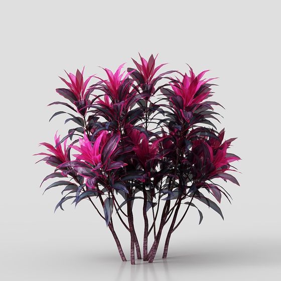Tropical Flora Low-Poly 3D Model