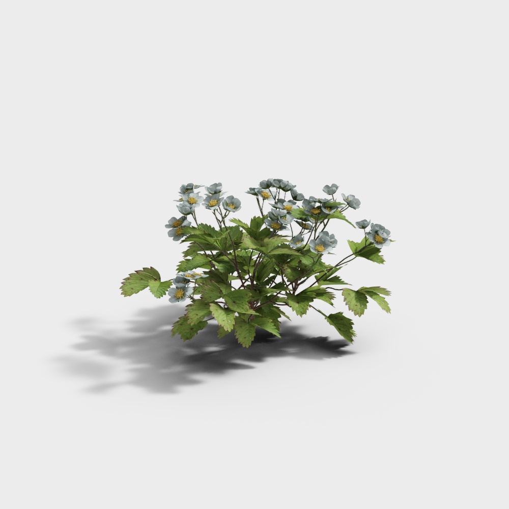 Charming Wildflower Cluster 3D model for Creative Projects