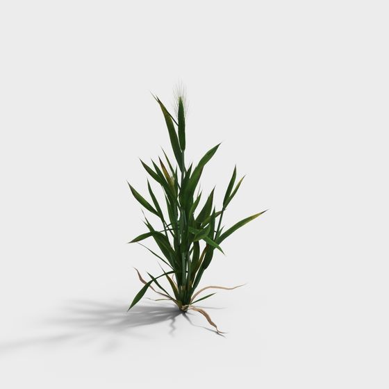 Vibrant Low-Poly Wheat 3D Model for Outdoor Designs