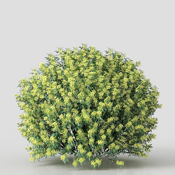 Vibrant Sunlit Flower Bush 3D model