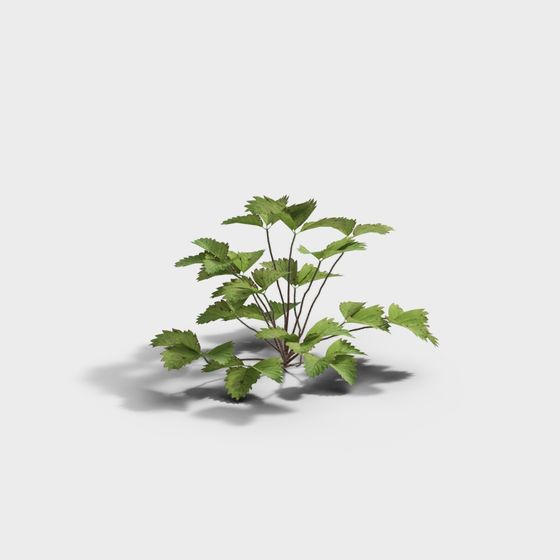 Wildgrass Cluster 3D model for Creative Projects