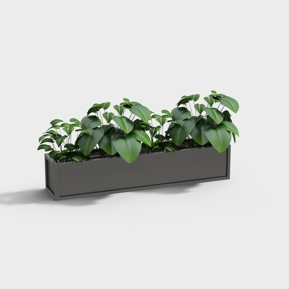 Modern Green Plant