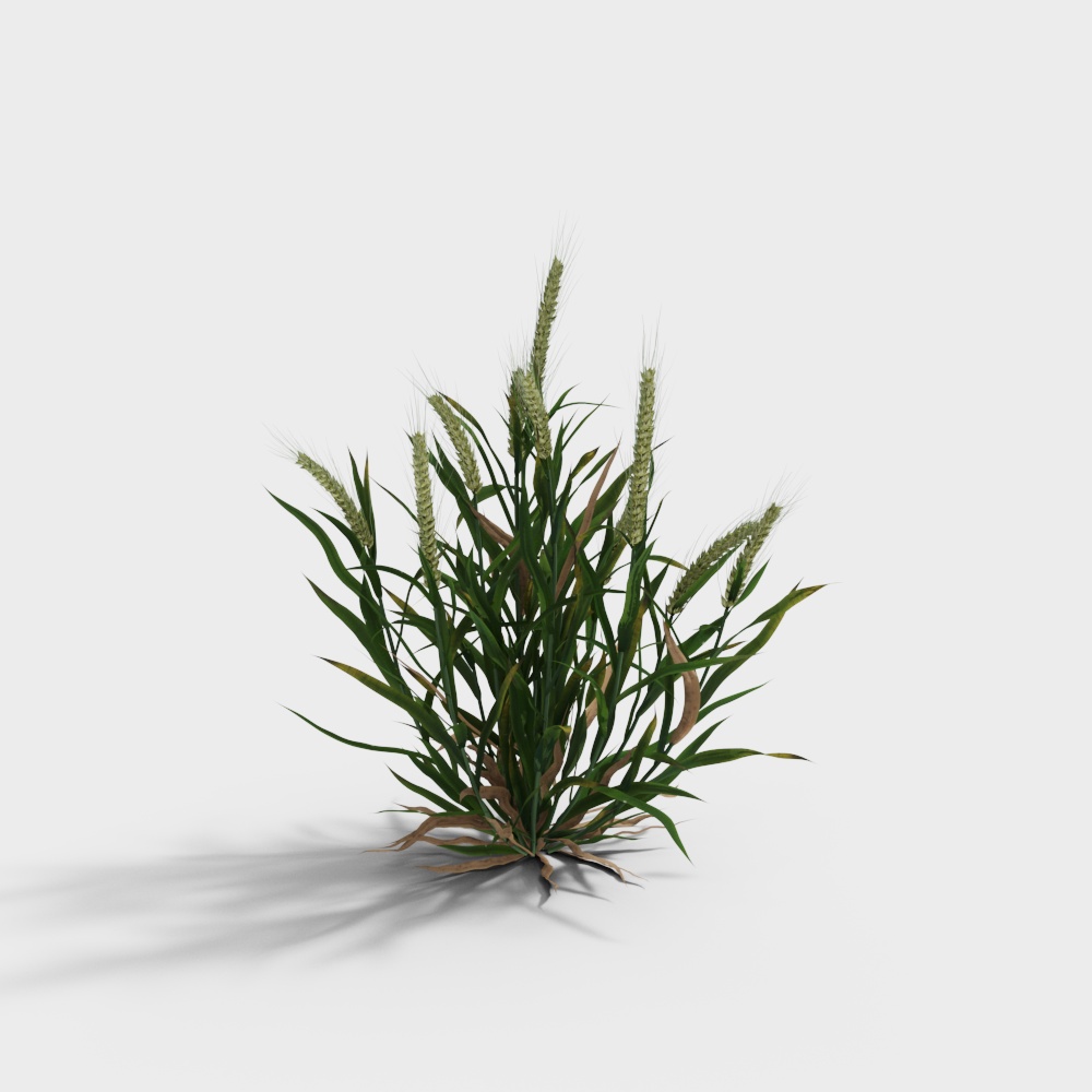 Realistic Wheat 3D Model for Natural Environments