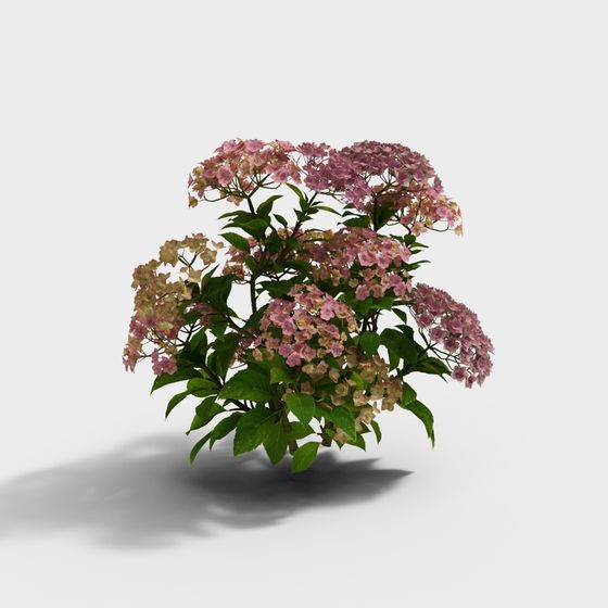 Dreamy Violet Blossom 3D model for Creative Projects