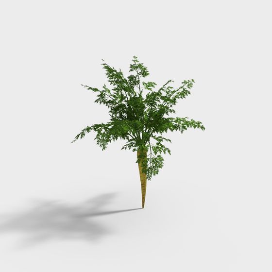 Vibrant Carrot Plant 3D model