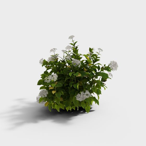 Elegant Low-Polygon Plant 3D Model for Creative Projects
