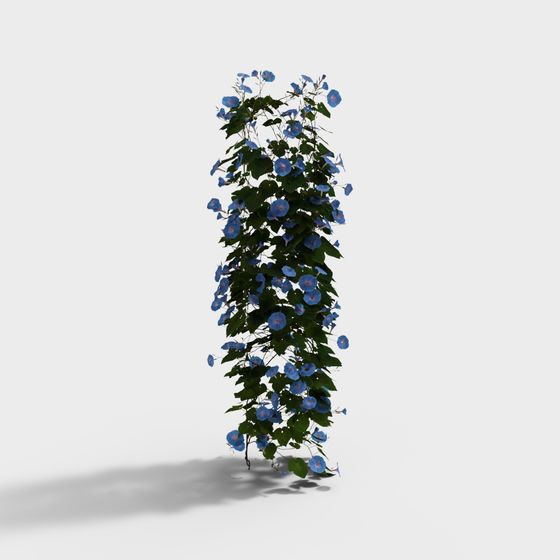 Blue Morning Glory Vine 3D model