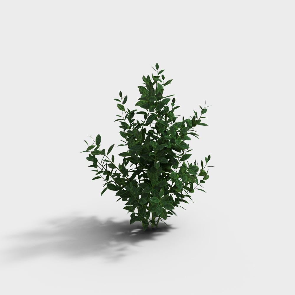 Forest Spirit Low Poly 3D Model