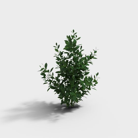 Forest Spirit Low Poly 3D Model for Creative Projects