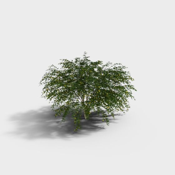 Summer Blossom Tree 3D model