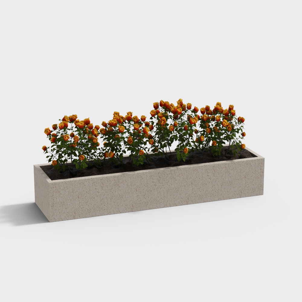 Modern Rose Flower Bed