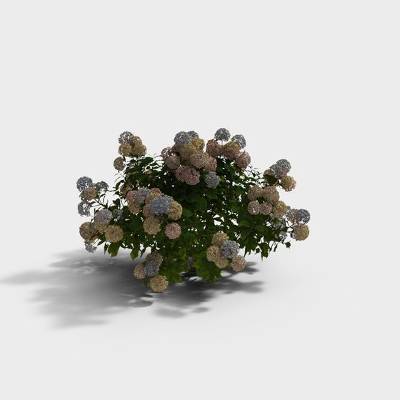 Hoa cẩm tú cầu hiện đại trộn lẫn