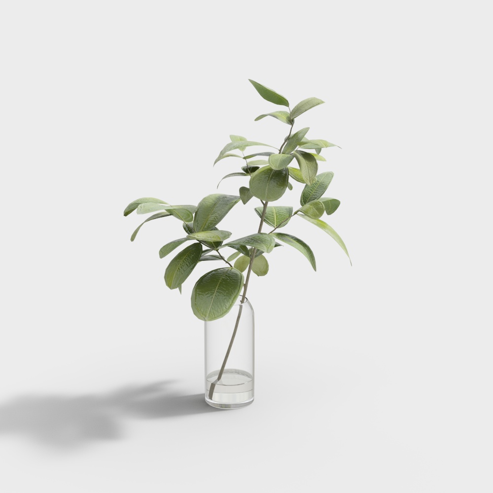 Ornament Display Items