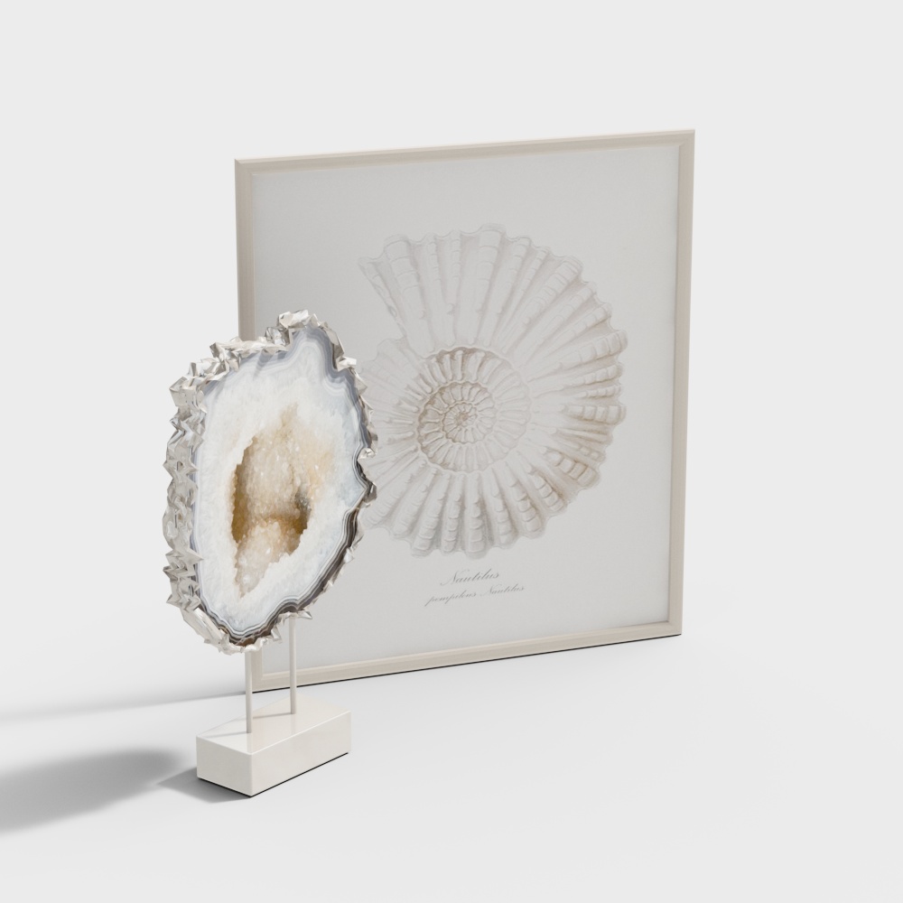 Nautilus Pompilius 3D Model for Creative Projects