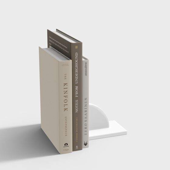 Elegant Minimalist Bookshelf 3D model