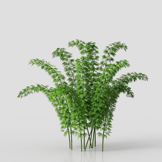 Bamboo Grove Wonderland 3D model