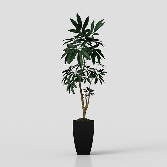 Vibrant Indoor Plant 3D Model