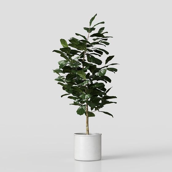 Vibrant 3D Plant Model for Indoor Spaces