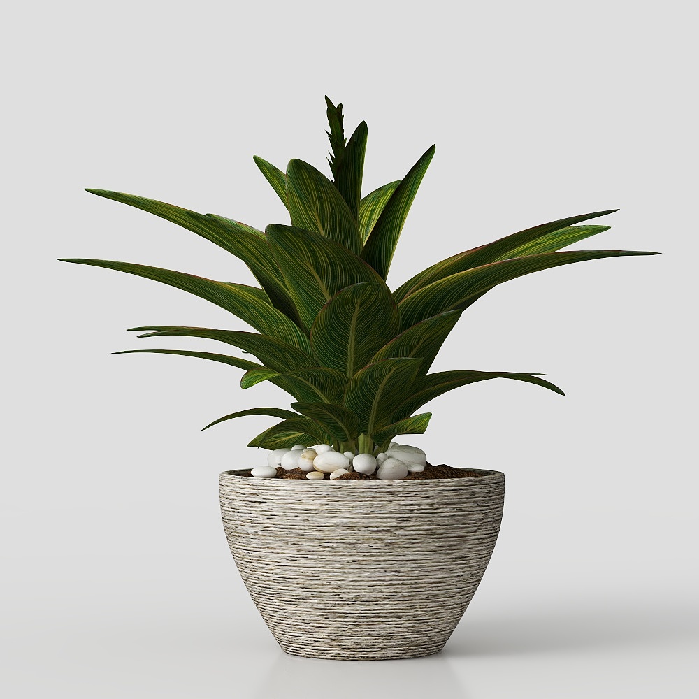 Plantas verdes en macetas para balcón