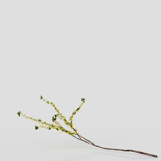 การตกแต่งกิ่งก้านห้องศึกษา