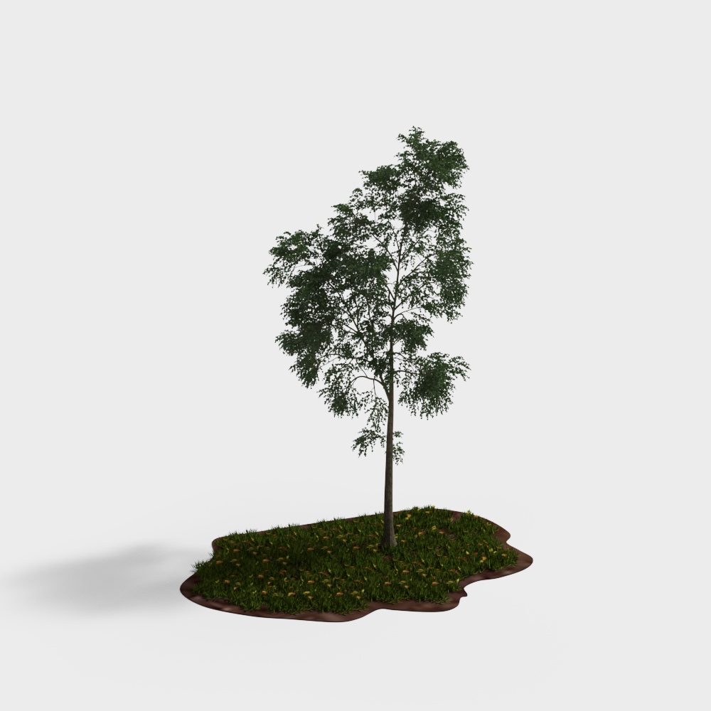 Youthful Tree 3D model - Low Poly Design