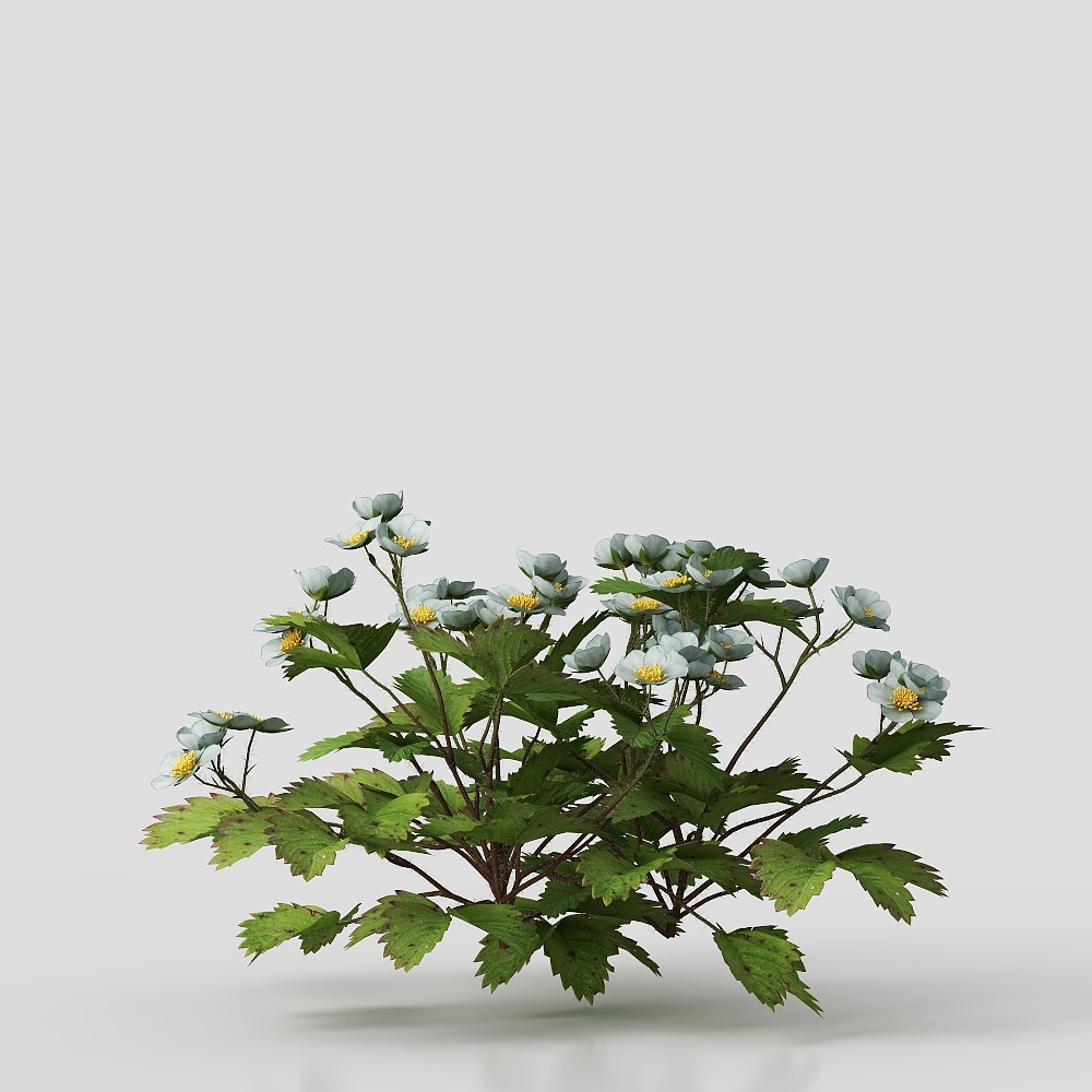 Wildflower Cluster 3D model
