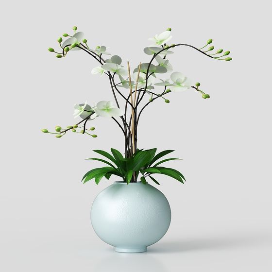 Elegant Orchid 3D Model for Modern Design