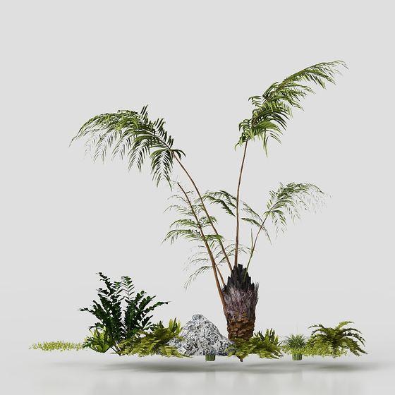 Tropical Rainforest 3D Model