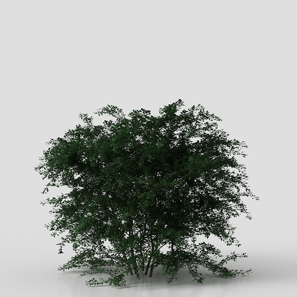 Verde cortile cinese