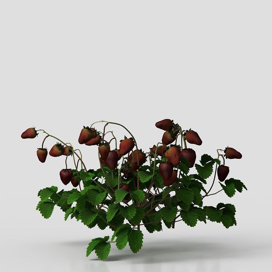 Vibrant Strawberry Vine 3D model for Creative Projects