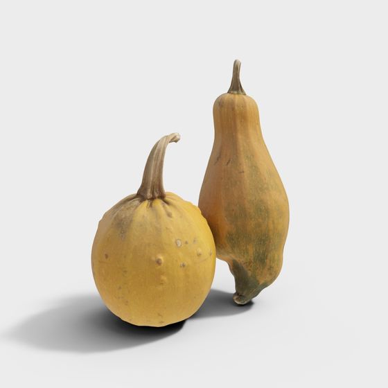 Realistic Pumpkin Trio 3D model for Autumn Designs
