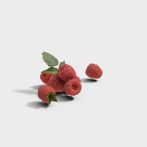 Raspberry Cluster 3D model