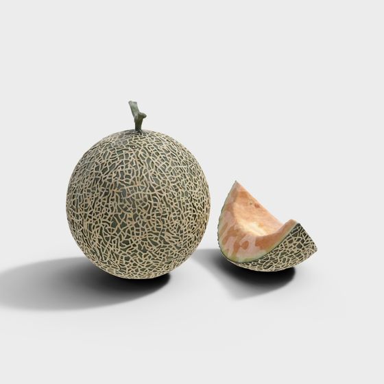 Realistic Cantaloupe 3D Model