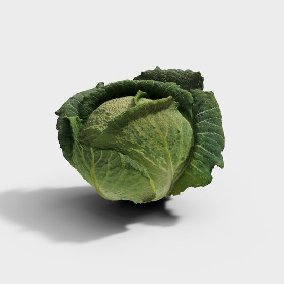 Fresh Chinese Cabbage 3D Model in Green