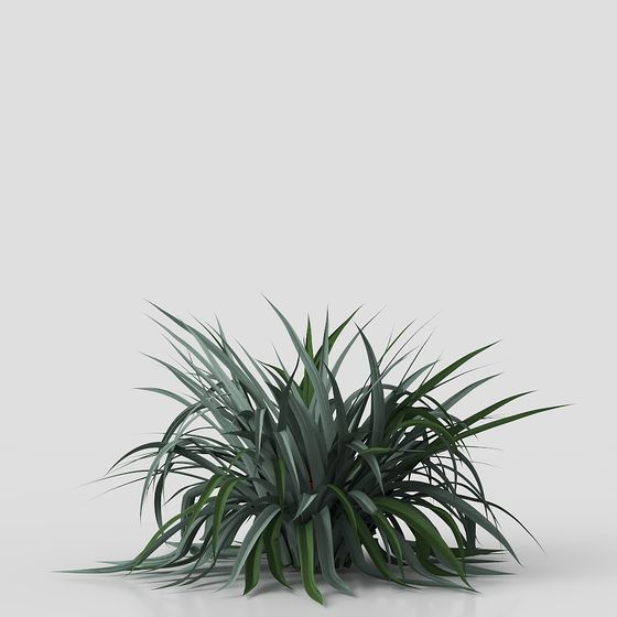 Verde de patio chino