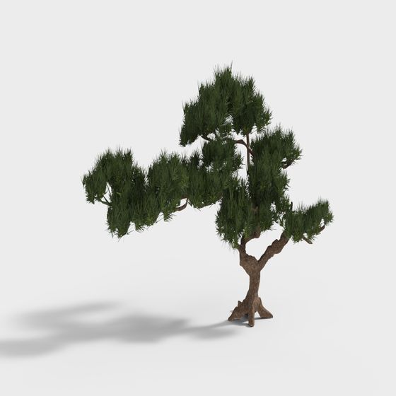 Low Poly Stylized Pine Tree 3D model