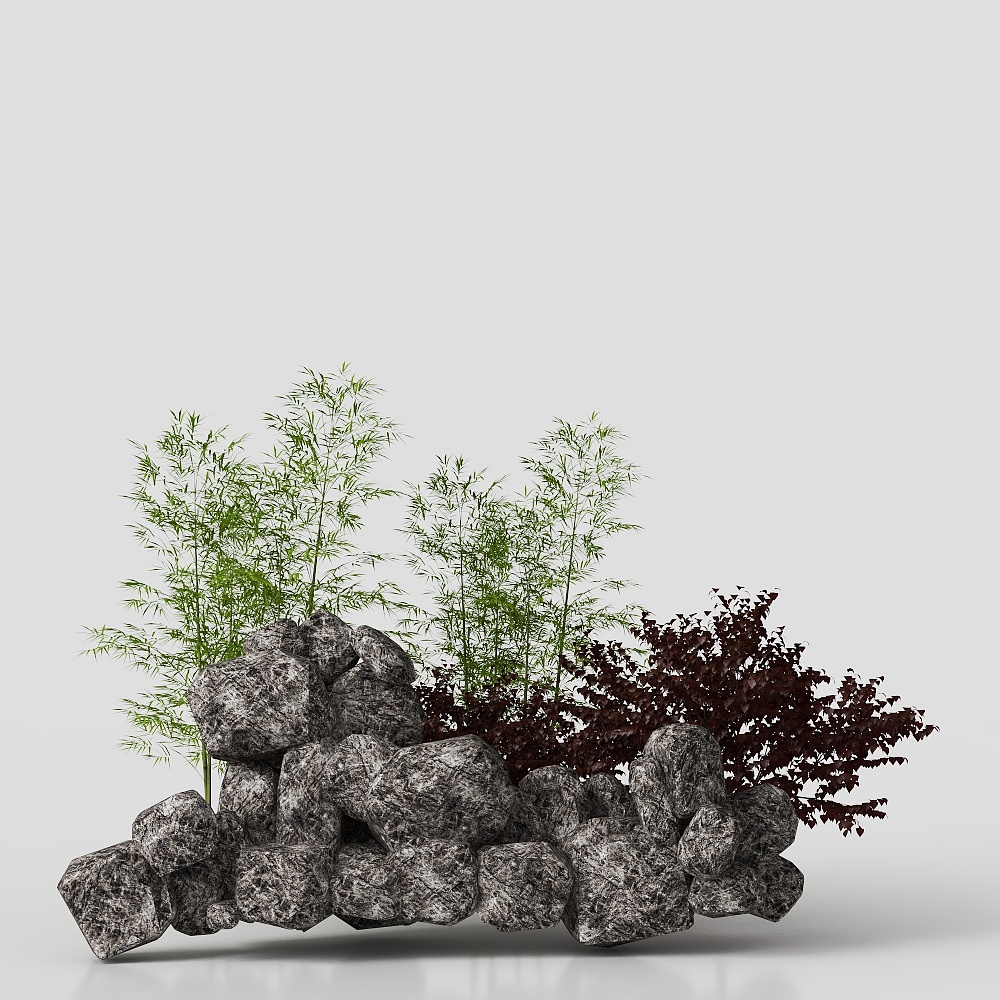 Chinese Bonsai