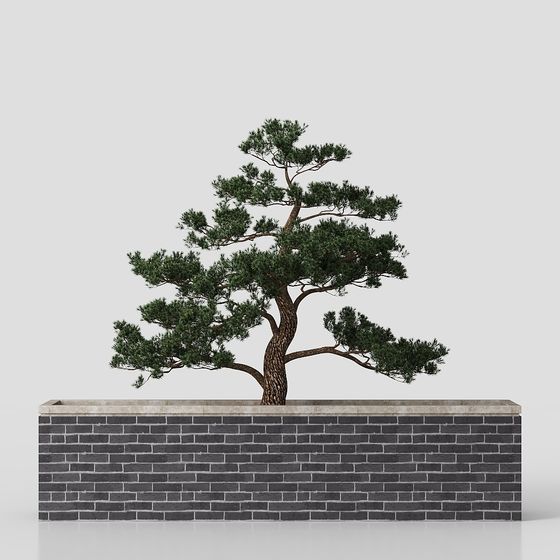 Low-Poly Pine Tree 3D Model for Creative Projects