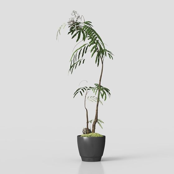 Realistic Indoor Plant 3D Model