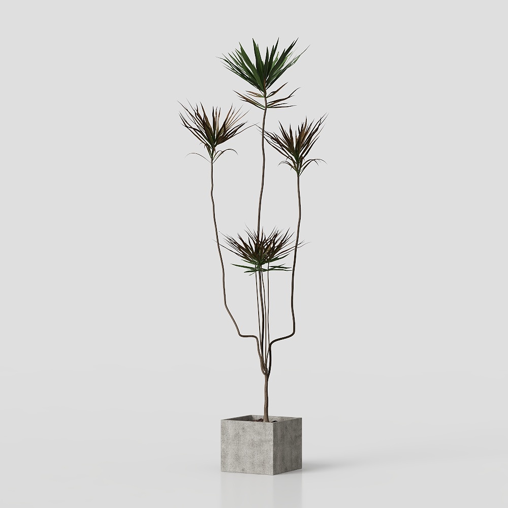 Ze Yi --- Gruppo Piante Verdi 003