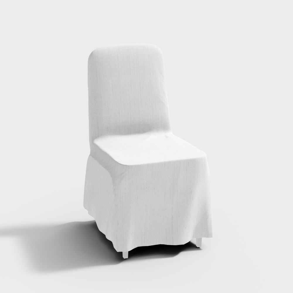 Dining Chair - With Cushion Cover