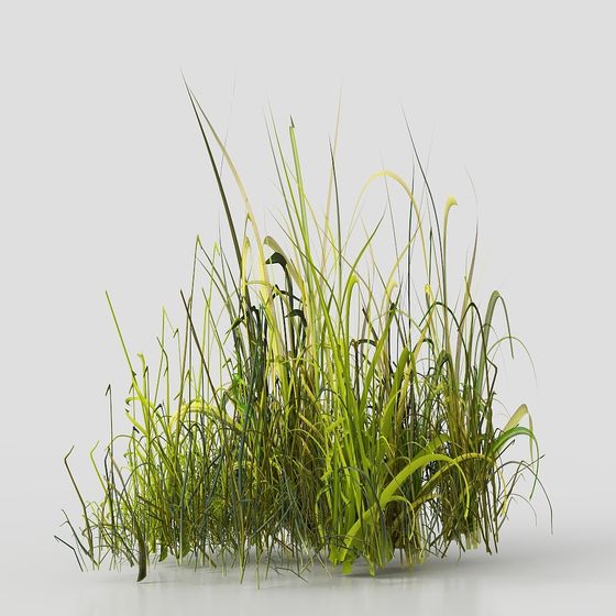 Realistic Grass 3D Model for Design Projects