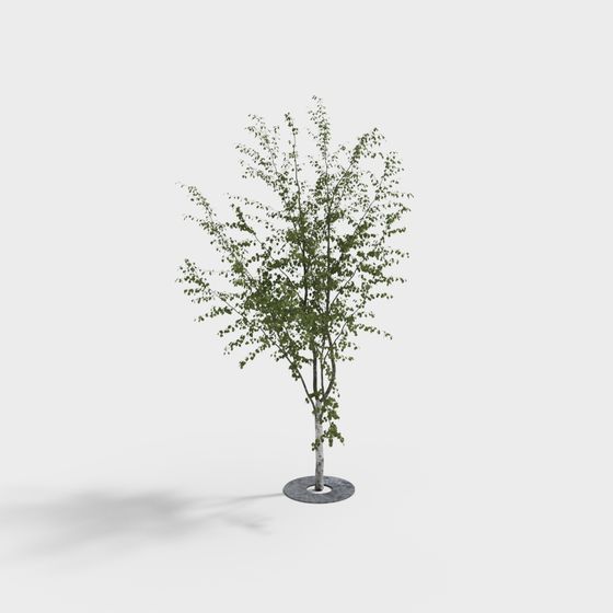 Lifelike Low-Poly Birch Tree 3D Model