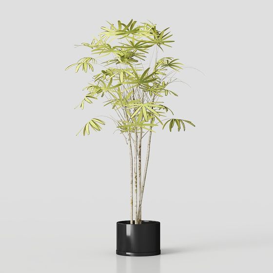 Low Polygon Bamboo Planter 3D model