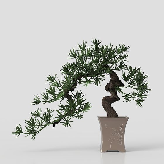 Plante en pot de salle de thé de style chinois moderne