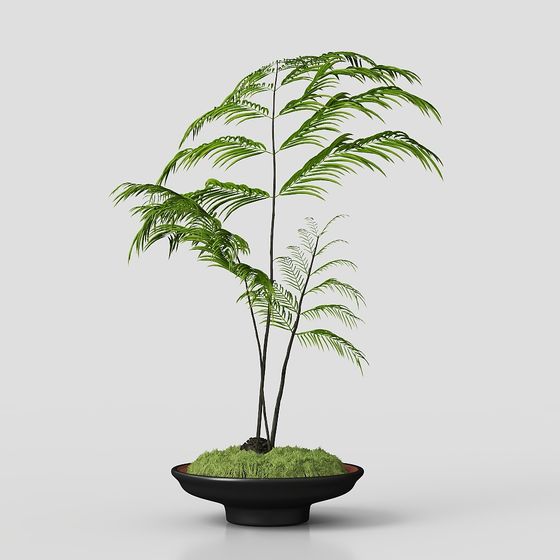 Indoor Potted Palm Tree Low-Poly 3D model