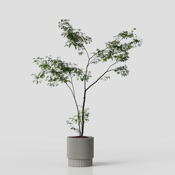 Urban Oasis 3D Model