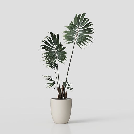 Tropical Potted Plant 3D Model