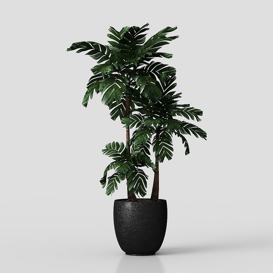 Tropical Potted Plant 3D model for Designers