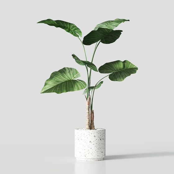 Stylish Tropical Green Plant 3D Model for Creative Projects